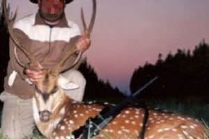 Cómo es Punta Caballos, el campo donde un búfalo mató al presidente de la Federación Mexicana de Caza