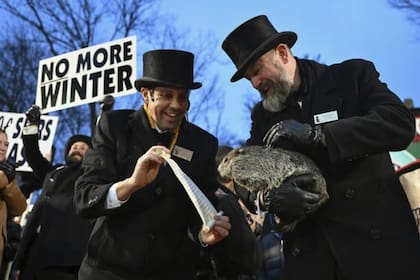 En Punxsutawney, Pensilvania, miles de personas pasan la noche a la intemperie para ver salir de un tronco a Punxsutawney Phil