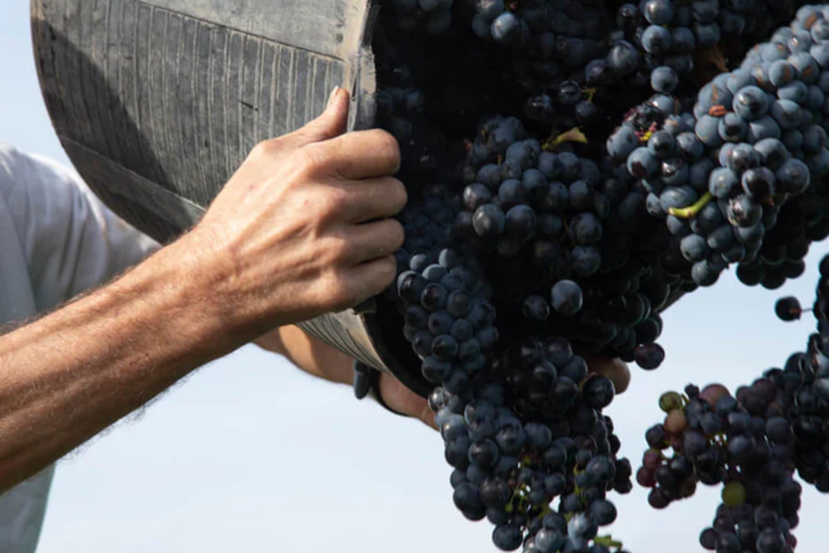 Cómo está la Argentina lejos de Vaca Muerta y la minería