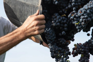 Cómo está la Argentina lejos de Vaca Muerta y la minería