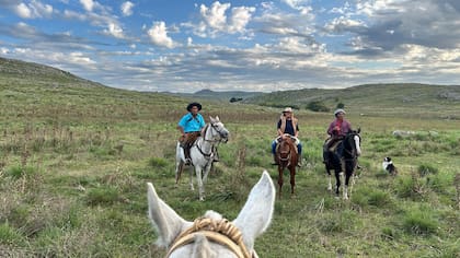 En recorrida por el campo, la productora Cristina Boubee junto a parte de su personal