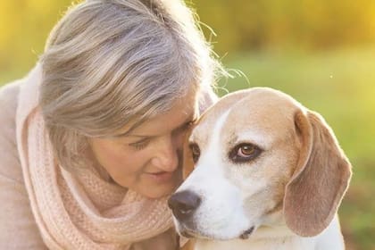 En relación con beneficios para los perros, pueden sentirse más seguros y mejorar su comportamiento