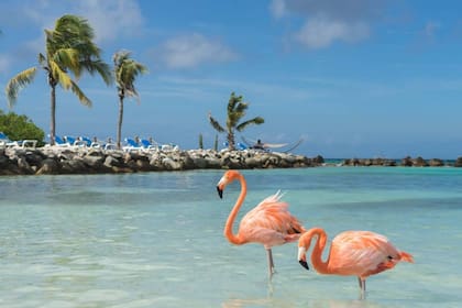 En Renaissance Wind Creek se encuentra una playa privada con flamingos