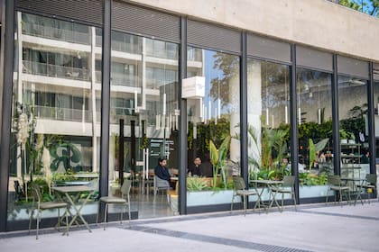 En Retiro, Botanicafé propone una pausa verde en medio de la ciudad