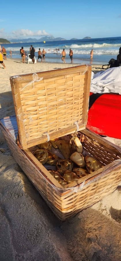 En Río de Janeiro, las playas de Ipanema y Copacabana son las elegidas para vender empanadas