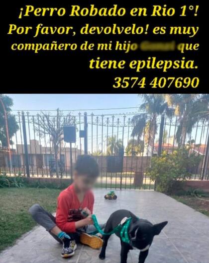 En Río Primero, Córdoba: robaron el perro de un niño con epilepsia.