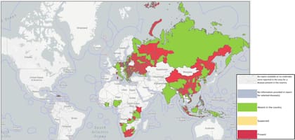 En rojo, países afectados. En verde, países sin casos. En gris, sin datos.