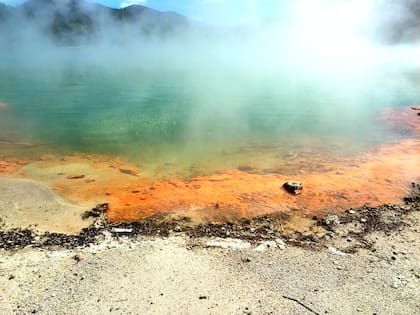 En Rotorua, Nueva Zelanda, hay una intensa actividad volcánica y geotérmica, que se manifiesta en géiseres, pozas de lodo hirviendo, fumarolas y un característico olor a azufre.