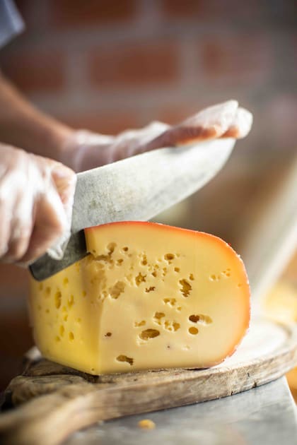 En Saldungaray, Campo Udi sorprende con sus deliciosos quesos sardo, pategrás, fontina, cuartirolo y saborizados, todos hechos con leche vacuna de tambo propio.