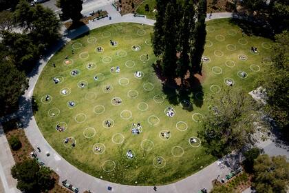 El Dolores Park, es una de las áreas verdes más icónicas de la ciudad californiana. La idea es que quienes acudan al parque se apropien de un círculo y no lo abandonen