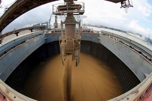 Brasil exportó más harina de soja que la Argentina y la desplazó de un ranking mundial
