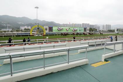 En Sha Tin, los fotógrafos son casi mayoría al costado de la pista