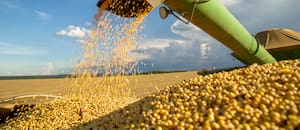 Calculan que US$600 millones volverán al campo por el alivio fiscal