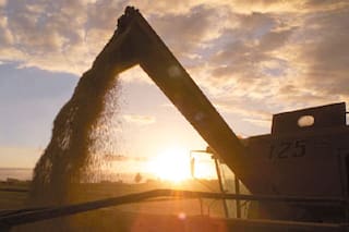 En la incertidumbre, crecen las posibilidades de vender la menor cantidad de grano posible