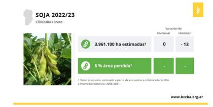 En soja se perdió el 8 % de las 3,96 millones de ha sembradas