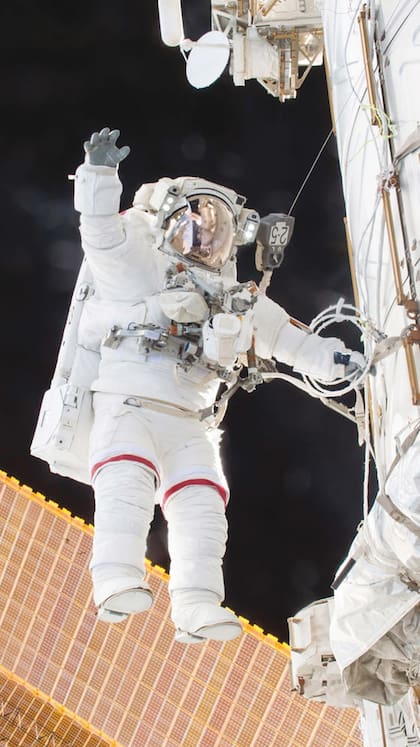 EN SOLEDAD. Sus tareas diarias consistían en plantar lechugas, observar el comportamiento de ratones de laboratorio, arreglar alguna que otra falla de la ISS y, sobre todo, registrar cada mínima sensación de su cuerpo