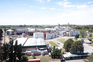 Crearon una empresa para que los jóvenes no se fueran de su lugar, tienen 220 empleados y compiten contra multinacionales