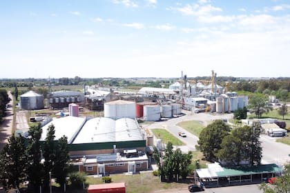 Crearon una empresa para que los jóvenes no se fueran de su lugar, tienen 220 empleados y compiten contra multinacionales