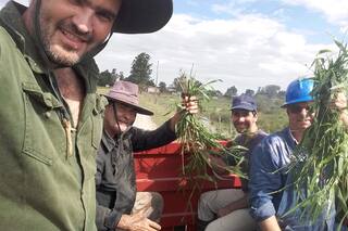 Integraron el bosque con la ganadería y lograron una producción de bajo costo, sostenible y eficiente