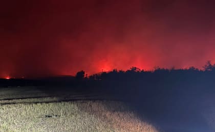 En su campo, la línea de fuego llegó a extenderse de manera alarmante: “Es una línea de fuego de alrededor de 12.000 metros que nos ha venido impactando en el campo”