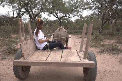 Cami va en "zorra" a buscar agua