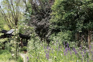 En su casa, La Flor Azul, Paquita Romano encontró su lugar en el mundo, y descubrió que su alma de jardinera había permanecido latente mientras se dedicaba a ser madre, al diseño de moda y a la decoración.