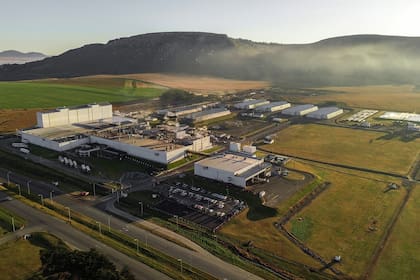 En su complejo industrial de Balcarce, McCain hoy procesa 400.000 toneladas anuales de papa