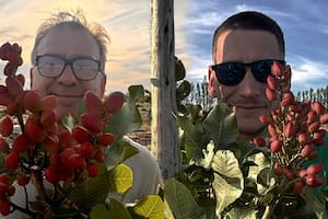 Apostaron a un cultivo en boom a nivel mundial y hoy impulsan un nuevo polo productivo en La Pampa