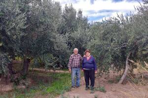 Sus plantas mueren por una extraña enfermedad y está desesperada