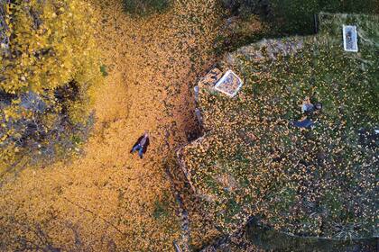 En su Instagram (@jade.sivori) podés ver más imágenes de su mirada y el mundo en donde vive.