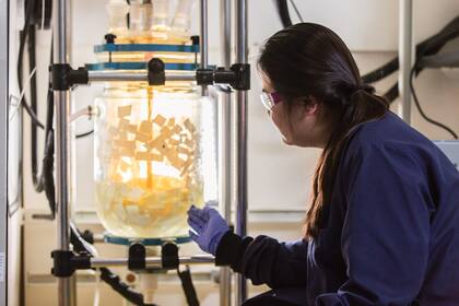 En su laboratorio, Wang trabaja en una tecnología que transforme el plástico en sustancias químicas