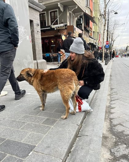 En su paseo, la China Suárez se encontró con un perro callejero