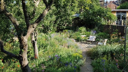 En su propio jardín, James Hitchmough cultiva 700 especies de plantas.