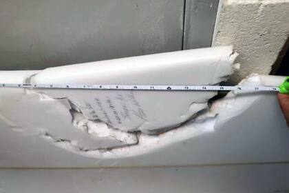 En su tabla qued el espantoso registro de la feroz mordida del escualo