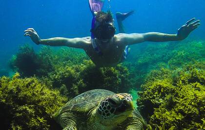 En su tiempo libre aprovechó para tomar clases de buceo.