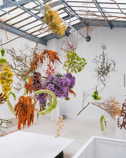 "En su trabajo todo tiene importancia: desde una pequeña hoja hasta una instalación a gran escala".