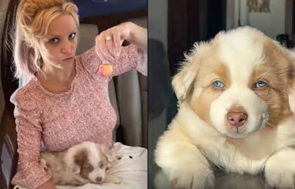 En su última publicación de Instagram, Britney Spears presentó a su nuevo cachorro llamado Sawyer