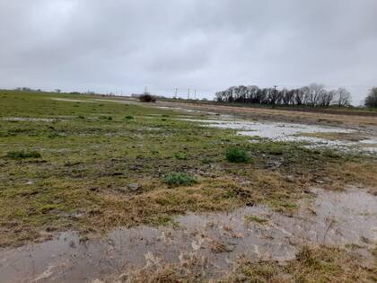 En Tacuarí, Salto, llovió 63 mm