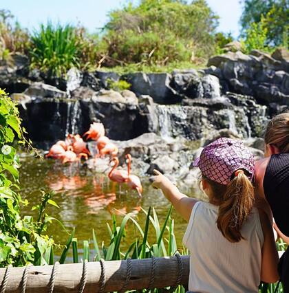 En tehuelche, temaikèn significa "tierra de vida", y eso mismo busca replicar esta fundación en su bioparque de Escobar.