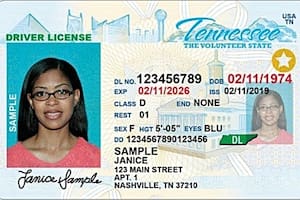 Así se puede tramitar la identificación Real ID en Tennessee: requisitos, citas, fecha límite y costos