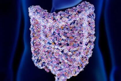 En términos digestivos, las personas con vata tienden a la distensión abdominal, a la constipación, el dolor y todo tipo de irregularidades