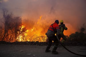 Arde la Patagonia: un bombero reveló el principal obstáculo que tienen en los operativos para frenar el avance del fuego