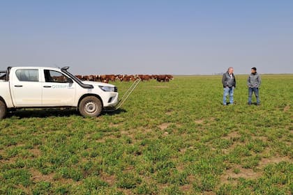 En todas las actividades de la empresa buscan romper techos de productividad