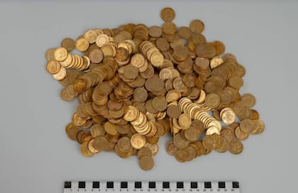 En total encontraron 598 monedas de oro (Foto: Gentileza Museo de Bohemia Oriental)