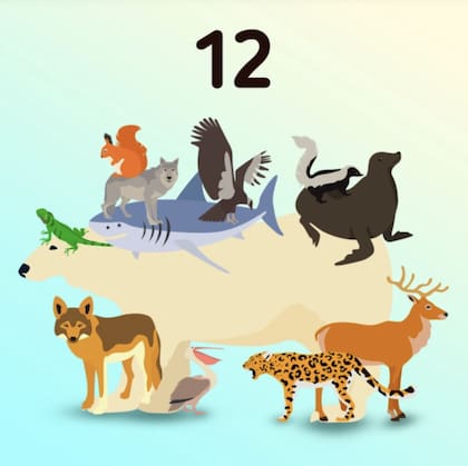 En total hay 12 animales escondidos en la imagen (Foto de Genial.guru)