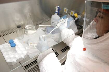 En total se analizaron 26 muestras de alimentos; cinco dieron positivo para Listeria monocytogenes