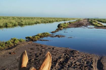 En tres días llovió un tercio de la media anual