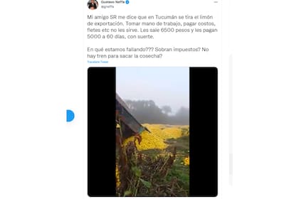 En Twitter, el economista Gustavo Neffa compartió una imagen y explicó la situación que padecen los productores de limones en Tucumán