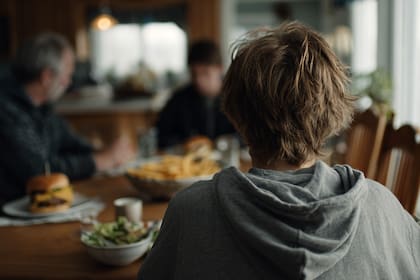 En un artículo de 2019, Palmer destacó el caso de dos mujeres que padecieron esquizofrenia durante décadas y dejaron de usar antipsicóticos sin tener síntomas durante años después de adoptar la dieta cetogénica