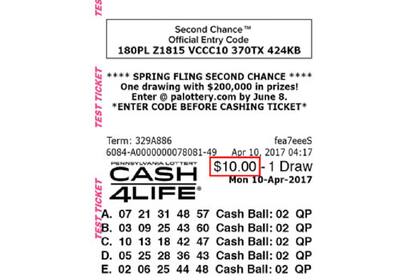 En un boleto de Cash4Life se debe completar un panel para la cantidad de juegos en los que se quiera participar (Pennsylvania Lottery)